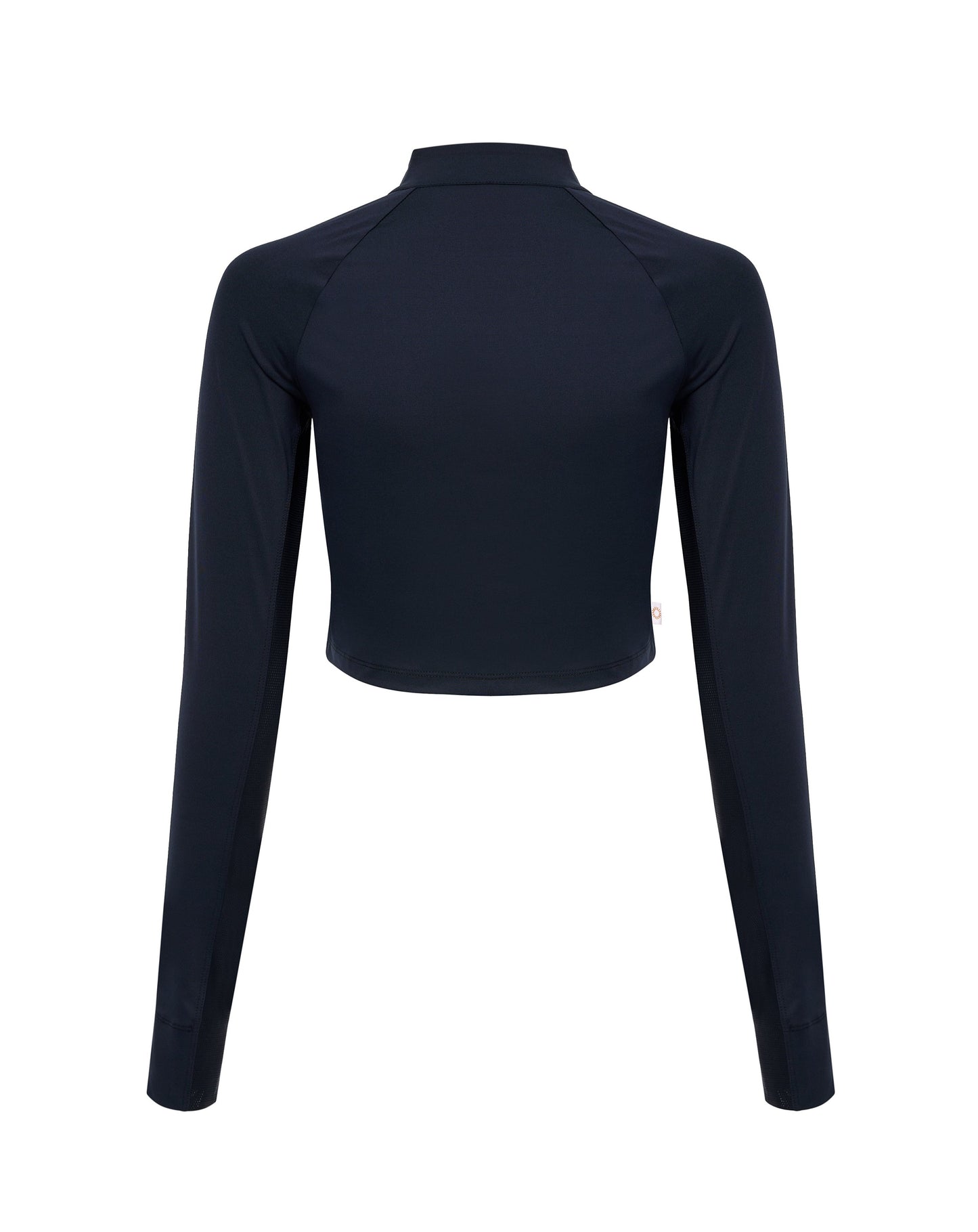 Pelagic Top