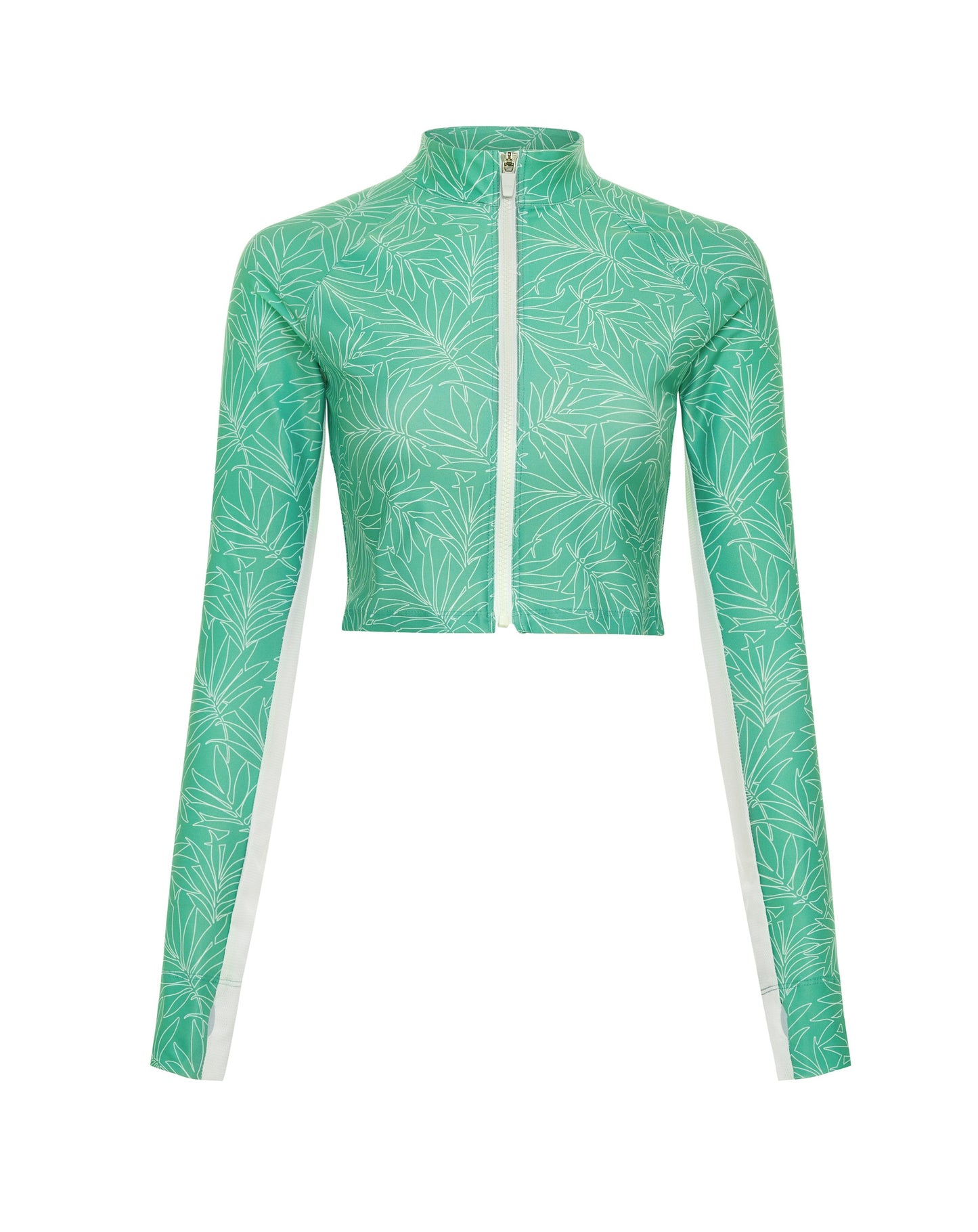 Pelagic Top