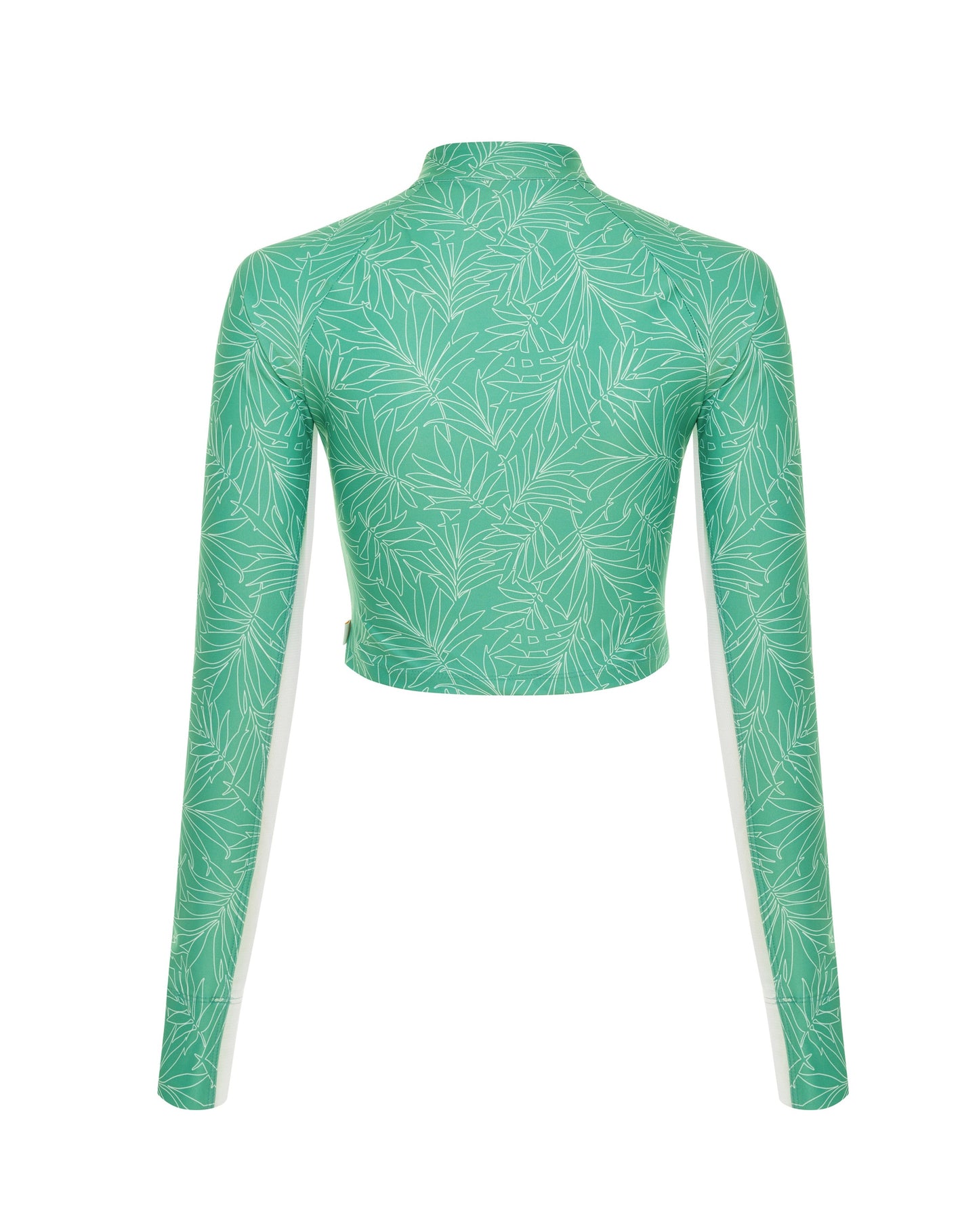 Pelagic Top